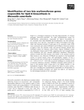 Báo cáo khoa học: Identiﬁcation of two late acyltransferase genes responsible for lipid A biosynthesis in Moraxella catarrhalis