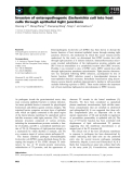 Báo cáo khoa học: Invasion of enteropathogenic Escherichia coli into host cells through epithelial tight junctions