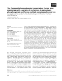 Báo cáo khoa học: The Drosophila homeodomain transcription factor, Vnd, associates with a variety of co-factors, is extensively phosphorylated and forms multiple complexes in embryos