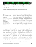 Báo cáo khoa học: Polypyrimidine tract binding protein regulates alternative splicing of an aberrant pseudoexon in NF1