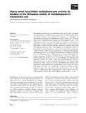 Báo cáo khoa học: Heavy metal ions inhibit molybdoenzyme activity by binding to the dithiolene moiety of molybdopterin in Escherichia coli