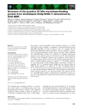 Báo cáo khoa học: Structure of the putative 32 kDa myrosinase-binding protein from Arabidopsis (At3g16450.1) determined by SAIL-NMR