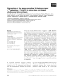 Báo cáo khoa học: Disruption of the gene encoding 3b-hydroxysterol D14-reductase (Tm7sf2) in mice does not impair cholesterol biosynthesis