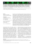 Báo cáo khoa học: A novel nucleoside kinase from Burkholderia thailandensis A member of the phosphofructokinase B-type family of enzymes