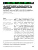 Báo cáo khoa học: The maltodextrin transport system and metabolism in Lactobacillus acidophilus NCFM and production of novel a-glucosides through reverse phosphorolysis by maltose phosphorylase