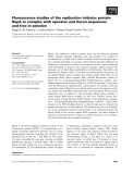 Báo cáo khoa học: Fluorescence studies of the replication initiator protein RepA in complex with operator and iteron sequences and free in solution