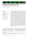Báo cáo khoa học: Enzymes of creatine biosynthesis, arginine and methionine metabolism in normal and malignant cells Soumen Bera1, Theo Wallimann2, Subhankar Ray1 and Manju Ray1