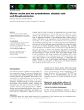 Báo cáo khoa học: Marine toxins and the cytoskeleton: okadaic acid and dinophysistoxins