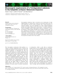 Báo cáo khoa học: Bioenergetic requirements of a Tat-dependent substrate in the halophilic archaeon Haloarcula hispanica