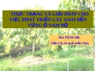 ĐỀ TÀI " THỰC TRẠNG VÀ GIẢI PHÁP CHO VIỆC PHÁT TRIỂN CÂY XOÀI BỀN VỮNG Ở NAM BỘ "