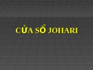 CỬA SỔ JOHARI