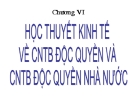 Chương VI: Học thuyết kinh tế về CNTB độc quyền và CNTB độc quyền nhà nước