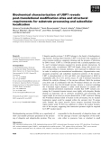 Báo cáo khoa học: Biochemical characterization of USP7 reveals post-translational modiﬁcation sites and structural requirements for substrate processing and subcellular localization