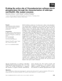 Báo cáo khoa học: Probing the active site of Corynebacterium callunae starch phosphorylase through the characterization of wild-type and His334ﬁGly mutant enzymes