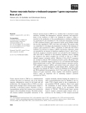 Báo cáo khoa học: Tumor necrosis factor-a-induced caspase-1 gene expression