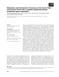 Báo cáo khoa học: Glutamine and interleukin-1b interact at the level of Sp1 and nuclear factor-jB to regulate argininosuccinate synthetase gene expression