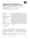 Báo cáo khoa học: Mapping of the active site of glutamate carboxypeptidase II by site-directed mutagenesis