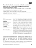 Báo cáo khoa học: Verprolin function in endocytosis and actin organization Roles of the Las17p (yeast WASP)-binding domain and a novel C-terminal actin-binding domain