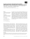 Báo cáo khoa học: A role of monocyte chemoattractant protein-4 (MCP-4)/CCL13 from chondrocytes in rheumatoid arthritis