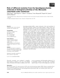 Báo cáo khoa học: Role of different moieties from the lipooligosaccharide molecule in biological activities of the Moraxella catarrhalis outer membrane