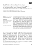 Báo cáo khoa học: Identiﬁcation and characterization of plasma kallikrein–kinin system inhibitors from salivary glands of the blood-sucking insect Triatoma infestans