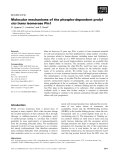 Báo cáo khoa học: Molecular mechanisms of the phospho-dependent prolyl cis ⁄ trans isomerase Pin1
