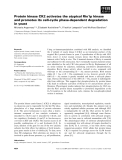 Báo cáo khoa học: Protein kinase CK2 activates the atypical Rio1p kinase and promotes its cell-cycle phase-dependent degradation in yeast