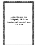 Luận văn cao học Giải pháp ERP cho doanh nghiệp ngành may Việt Nam