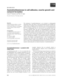 Báo cáo khoa học: Acetylcholinesterase in cell adhesion, neurite growth and network formation