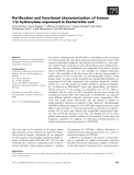 Báo cáo khoa học: Puriﬁcation and functional characterization of human 11b hydroxylase expressed in Escherichia coli