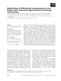 Báo cáo khoa học: Identiﬁcation of differentially expressed genes of the Paciﬁc oyster Crassostrea gigas exposed to prolonged thermal stress