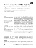 Báo cáo khoa học: Mutational analyses of human eIF5A-1 – identiﬁcation of amino acid residues critical for eIF5A activity and hypusine modiﬁcation