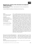 Báo cáo khoa học: Phylogenetic analysis of the chromate ion transporter (CHR) superfamily