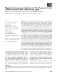 Báo cáo khoa học: Glycation damage targets glutamate dehydrogenase in the rat liver mitochondrial matrix during aging