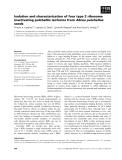 Báo cáo khoa học: Isolation and characterization of four type 2 ribosome inactivating pulchellin isoforms from Abrus pulchellus seeds