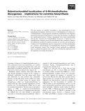 Báo cáo khoa học: Submitochondrial localization of 6-N-trimethyllysine dioxygenase ) implications for carnitine biosynthesis