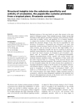 Báo cáo khoa học: Structural insights into the substrate speciﬁcity and activity of ervatamins, the papain-like cysteine proteases from a tropical plant, Ervatamia coronaria