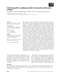 Báo cáo khoa học: Calcite-speciﬁc coupling protein in barnacle underwater cement