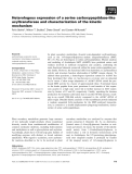 Báo cáo khoa học: Heterologous expression of a serine carboxypeptidase-like acyltransferase and characterization of the kinetic mechanism