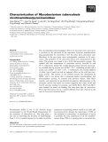 Báo cáo khoa học: Characterization of Mycobacterium tuberculosis nicotinamidase/pyrazinamidase