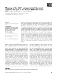 Báo cáo khoa học: Mapping of the 45M1 epitope to the C-terminal cysteine-rich part of the human MUC5AC mucin