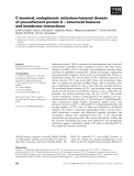 Báo cáo khoa học: C-terminal, endoplasmic reticulum-lumenal domain of prosurfactant protein C – structural features and membrane interactions