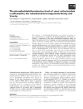 Báo cáo khoa học: The phosphatidylethanolamine level of yeast mitochondria is affected by the mitochondrial components Oxa1p and Yme1p