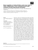 Báo cáo khoa học: Down-regulation of reduced folate carrier may result in folate malabsorption across intestinal brush border membrane during experimental alcoholism