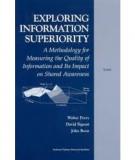 Exploring Information Superiority