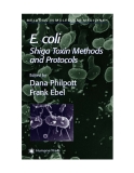 E. coli Shiga Toxin Methods and Protocols