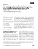 Báo cáo khoa học:  Photosynthetic acclimation: Does the dynamic structure and macro-organisation of photosystem II in higher plant grana membranes regulate light harvesting states?