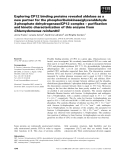 Báo cáo khoa học: Exploring CP12 binding proteins revealed aldolase as a new partner for the phosphoribulokinase/glyceraldehyde 3-phosphate dehydrogenase/CP12 complex – puriﬁcation and kinetic characterization of this enzyme from Chlamydomonas reinhardtii