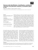 Báo cáo khoa học: Genome-wide identiﬁcation, classiﬁcation, evolutionary expansion and expression analyses of homeobox genes in rice