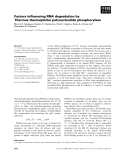 Báo cáo khoa học: Factors inﬂuencing RNA degradation by Thermus thermophilus polynucleotide phosphorylase